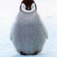 Just for fun: A PLP mascot