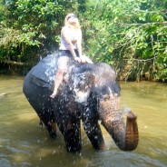 Don’t take a vacation from learning, but do take a vacation to Sri Lanka