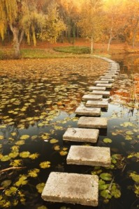 steps-pond