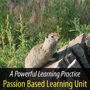 How do we provide for the health of animals in our local communities?