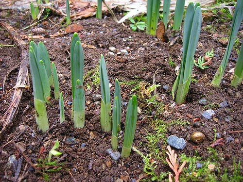 Harbingers of what is to come