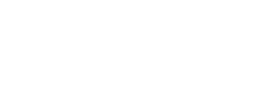ray 1