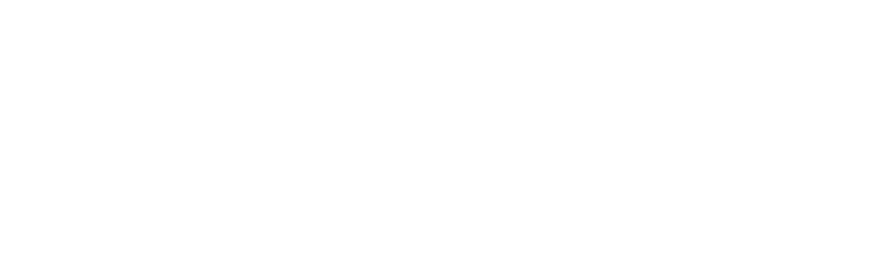 ray 5