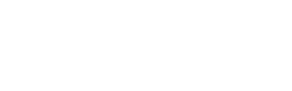 ray 6